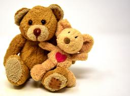 Teddy bear sits with Mouse, two soft toys