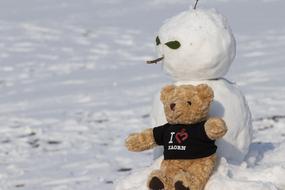 Snowman Winter and taddy bear toy