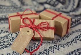 Christmas Gift for New Year