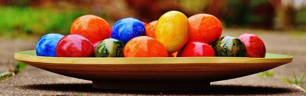 Eggs Colorful plate