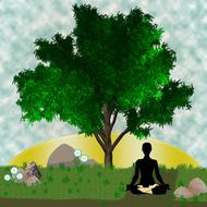 yoga, male silhouette in meditation pose on mat beneath tree