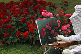 Rose Flowers drawing