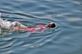 Lake Water Relaxation