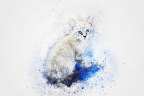 white cat with blue eyes, digital watercolor painting