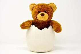 teddy bear in a white egg