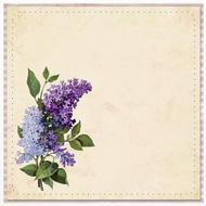 square vintage frame with lilac flowers