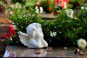 white Angel statue on a Grave