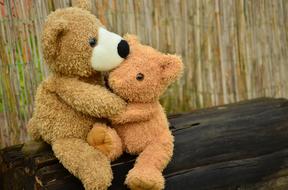 two Teddy Bears Snuggling