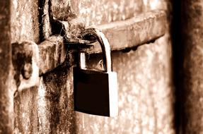 the web on the lock on the shed