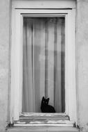 monochrome photo of a black cat on a windowsill