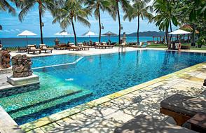 pool on an exotic island