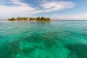 amazingly beautiful Laughing Bird Caye