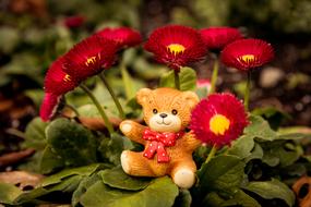 Bear Toy and red flowers
