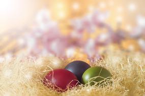Desktop Closeup eggs