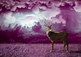 Reindeer among the beautiful and colorful nature