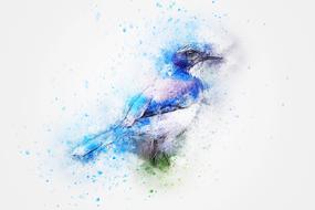 abstract bird, colorful digital art at white background