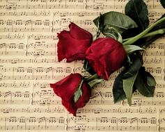 Love Paper music and flowers