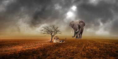 image of dead and living elephants in the desert against a stormy sky