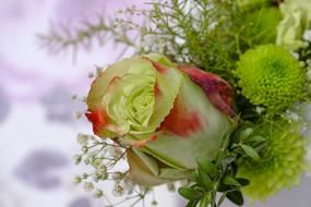 bouquet with red-green rose