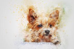 dog animal art abstract drawing