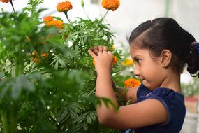 little girl near the bush with orange flowers
