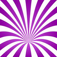 purple and white whirl