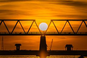 Brigde Sun Black orange