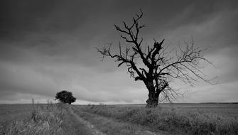 Cloudy Autumn Weather