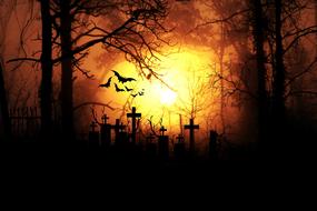 Moonlight Night Horror forest
