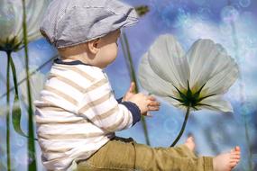 goodly Small Child Flowers