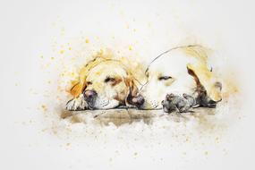 dog portrait art abstract drawing
