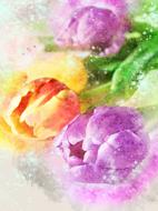 Flowers Desktop Summer drawing