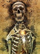 skull bones skeleton drawing