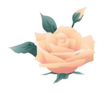 symbol rose nature drawing