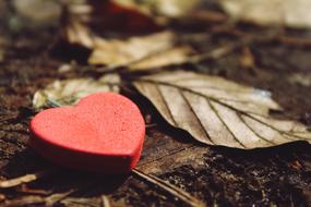 declarative red heart on the ground