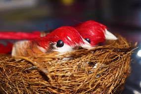 red Birds Nest decoration