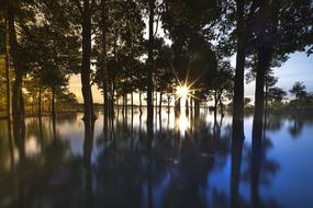 Sunset Outdoor Tree lake
