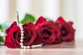 Gift Rose Decoration white red