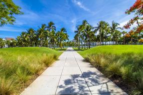 empty tiled walk path to idyllic tropical Beach, usa, Miami
