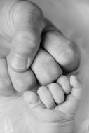 Father Son hands