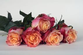 photo of an orange-pink bouquet on a white background