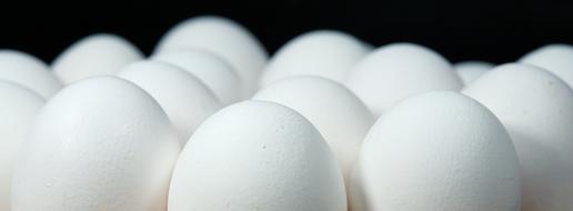 Egg Easter Happy white