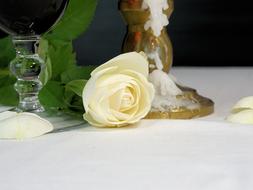 amazing Romantic Rose Candle