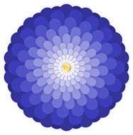fluffy blue abstract flower, graphic