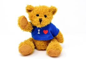 Teddy Cute Animal Soft toy
