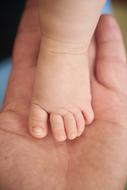 Baby Child legs