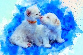 dog and cat as a watercolor drawing