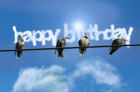 happy birthday birds clouds