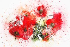 bouquet poppy art drawing