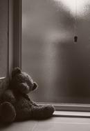monochrome photo of a teddy bear on a windowsill
